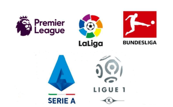 并特别关注 并特别关注